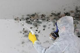 Best Mold Odor Removal Services  in Beaufort, NC